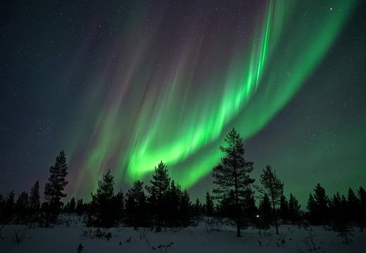 NorthernLights