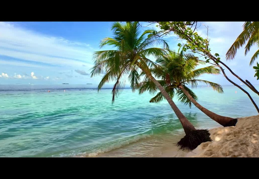 Maldives2024-3-Final-24fps